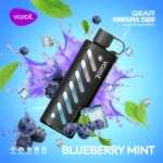 Blueberry Mint