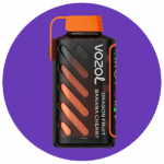 Vozol Gear Power 20000