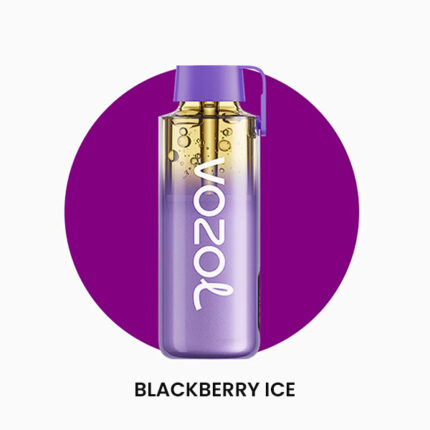 Vozol Neon 12000 Blackberry Ice